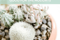 Spruce Up Your Evergreens: Holiday Decorating Ideas for Year-Round Plants