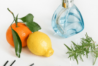 Home Scent Mastery Create an Amazing Atmosphere with Potpourri and Fragrance