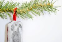 DIY Paw-trait Holiday Keepsake