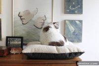Purr-fectly Cozy: Crafting a Dream Cat Bed