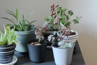 Apartment Bliss: DIY Upgrades Your Landlord Will Love