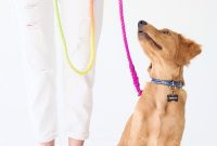 Simple DIY Projects to Pamper Your Pooch