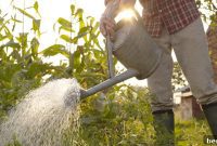 Budget-Friendly Gardening: 15 Smart Strategies