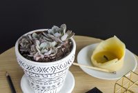 Unlimited Succulents: A Beginner’s Guide