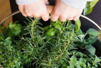 Creative Herb Garden Inspirations