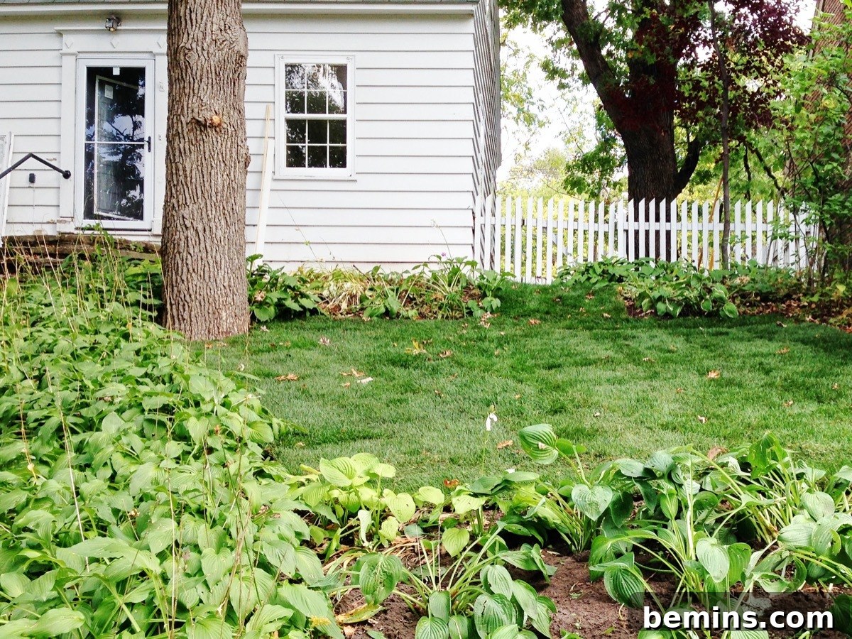 featured 10355 1
