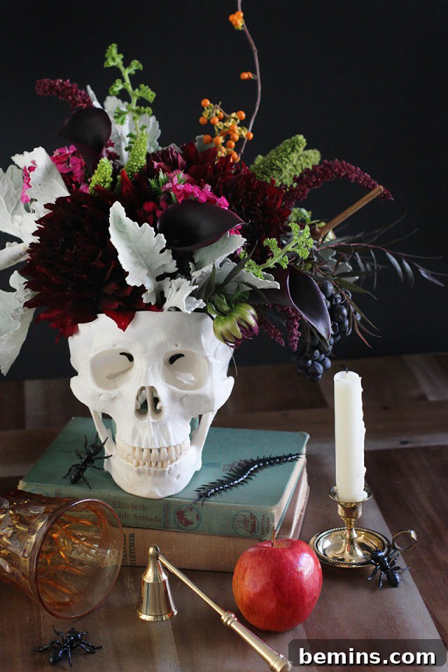 featured 10362