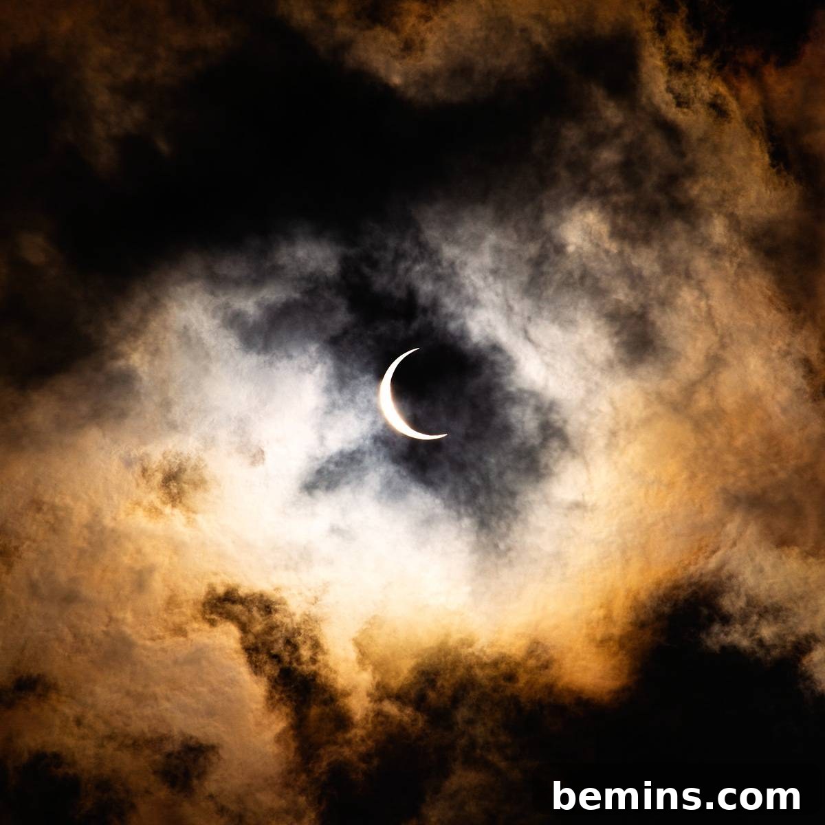 featured 10363 1