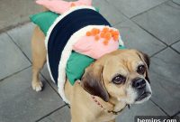 DIY Sushi Dog Costume