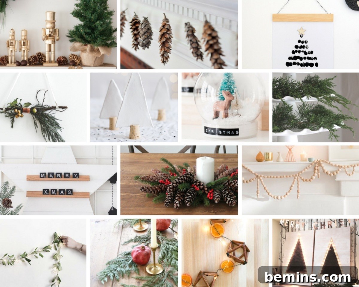 featured 10386