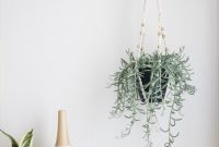 Not Macrame: A Fresh Take on DIY Plant Hangers