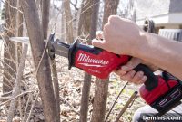Backyard Bliss: Spring Awakening for Your Outdoor Oasis