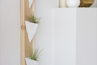 Effortless Floating Air Plant Display