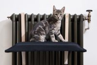 Cozy Cat Radiator Nook: A DIY Guide