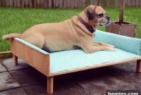 Craft Your Pup’s Outdoor Oasis