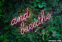 Post-Christmas Bliss: Savoring the Best Week of the Year