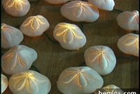 Sea Shell Lights