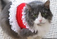 Crocheted Holiday Pet Sweater