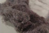 Top 5 Unexpected Perks of Dryer Lint