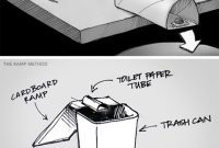 Toilet Paper Tube Mouse Trap: A DIY Guide