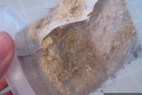 Cleaning Vacuum Filters: A Breath of Fresh Air for Your Home
