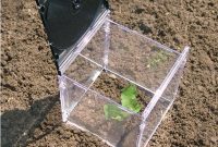 Crafting a Seedling Sanctuary: Repurposed CD Case Greenhouse