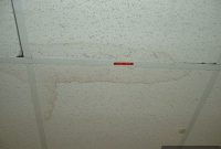 Removing Ceiling Tile Stains: A Comprehensive Guide