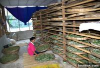 Crafting Silk The Essential 6 Steps