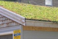 Did you know a roof garden can…?

Elevate Your Home: The Unexpected Perks of a Rooftop Garden