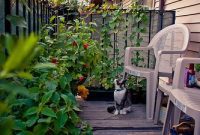 Patio-Perfect: Your Guide to Apartment Vegetable Gardening