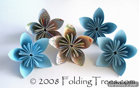 featured 2387