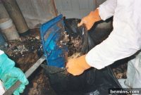Plumbing 101: A First-Timer’s Guide to Home Sewer Systems