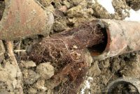 Aging Pipes: A First-Time Homeowner’s Guide to Sewer System Care