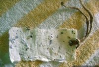 How to Craft Your Own Plantable Seed Paper