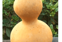 Turning Gourds into Luminaries: A Creative Lighting Project