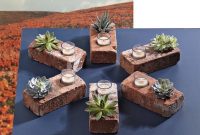Brick Garden: Crafting with Succulents and Candles