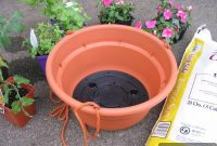 How to Grow Tomatoes Like a Pro: The Upside-Down Method