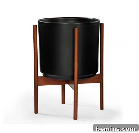 featured 4781