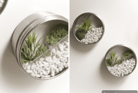 Miniature Magnetic Gardens: DIY Terrarium Magnets to Liven Up Your Fridge