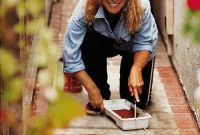 Crafting Curb Appeal: A DIY Faux-Brick Sidewalk Transformation