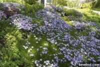 Your Lawn Is a Nightmare: Reclaim Your Weekends