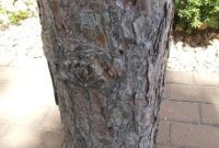Creating a Rustic Log End Table
