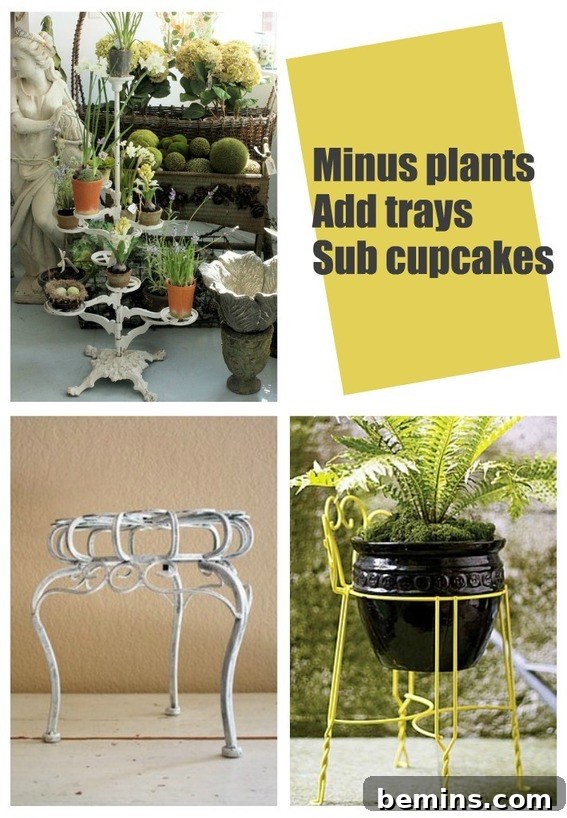 featured 5262