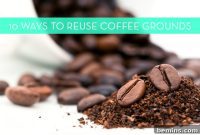 Top 10 Creative Reuses for Your Old Coffee Grounds