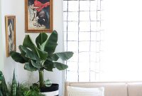 Curtain Call: Finding Your Perfect Length