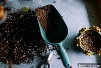 Soil Savvy: A Gardener’s Guide to Perfecting Your Plot