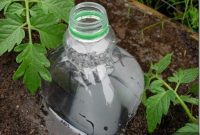 DIY Drip Irrigation: Bottle to Garden