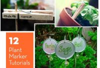 Creative DIY Plant Markers: 12 Unique Ideas