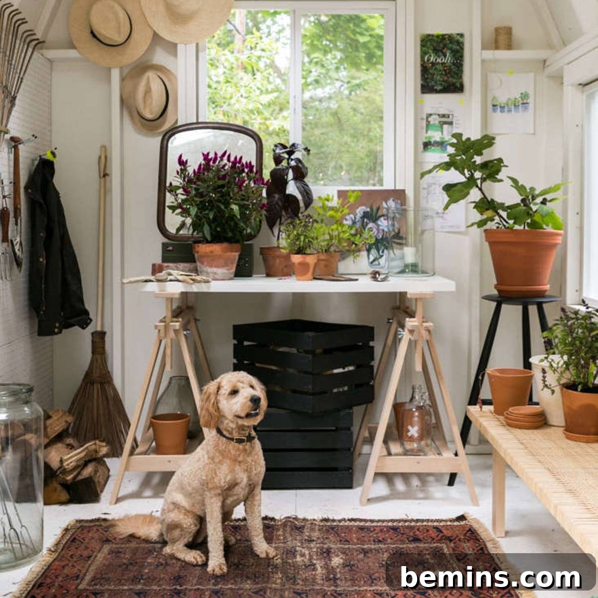 featured 62781
