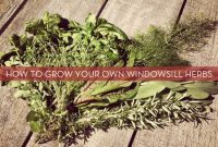 Grow a Kitchen Garden on Your Windowsill